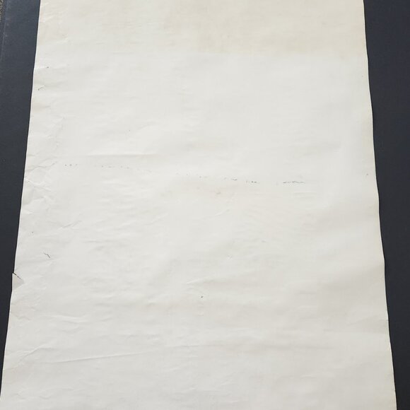 Rare Vintage Braniff Travel Poster for Federal Republic of Germany - Picture 7 of 10